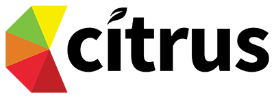Consulting Client Logo